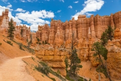 Bryce National Park Trail and Sandstone