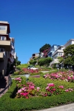 Lombard Street San Francisco