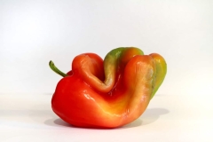 Redish Green Bell Pepper