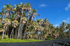 Big Island, Hawaii Black Sand Beach