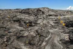 Dried Lava Fields in Hawaii