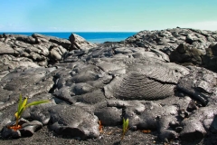 Dried Lava Fields in Hawaii Volcanoes National Park