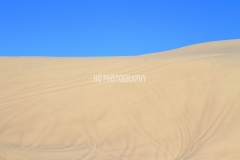 San Dunes Landscape