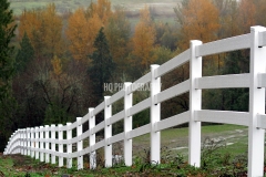 White Fence During Autumn