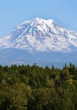 Mt. Rainier
