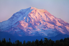 Mt. Rainier Sunset