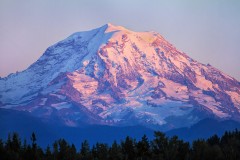 Mt. Rainier Sunset