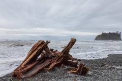 Driftwood at Ruby Beach at Olympic National Park