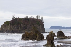 Ruby Beach Rocks