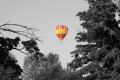 Hot Air Balloon in Color