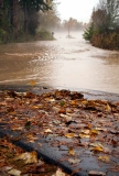 Puyallup-River-Flooding-Over-Road-11