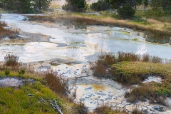 West-Thumb-Geyser-Basin-5