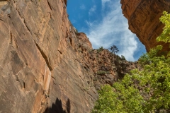 Blue-Sky-Canyon-Walls-The-Narrows-Hike-9