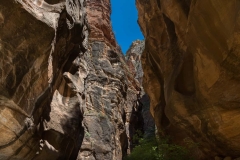 Canyon-Walls-in-Zion-National-Park-7