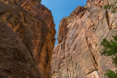 Hiking-atThe-Narrows-in-Zion-National-Park-10