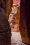 Inside-a-Slot-Canyon-Near-Zion-14