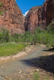 The-Narrows-Hike-Trail-Zion-National-Park-4