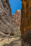 The Narrows Hike, Zion National Park