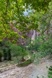 The-Narrows-Hike-Zion-National-Park-11