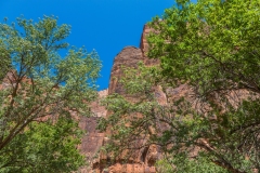 Zion-National-Park-Blue-Sky-and-Trees-3