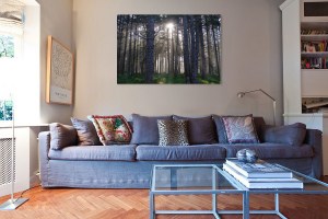 Art Photography Home Decor
