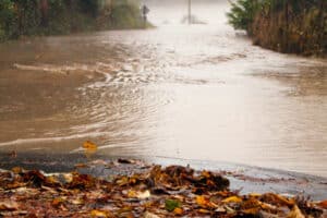 Puyallup River Flooding Over Road Photo