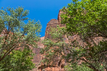 Zion National Park