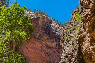 The Narrows Hike in Zion National Park