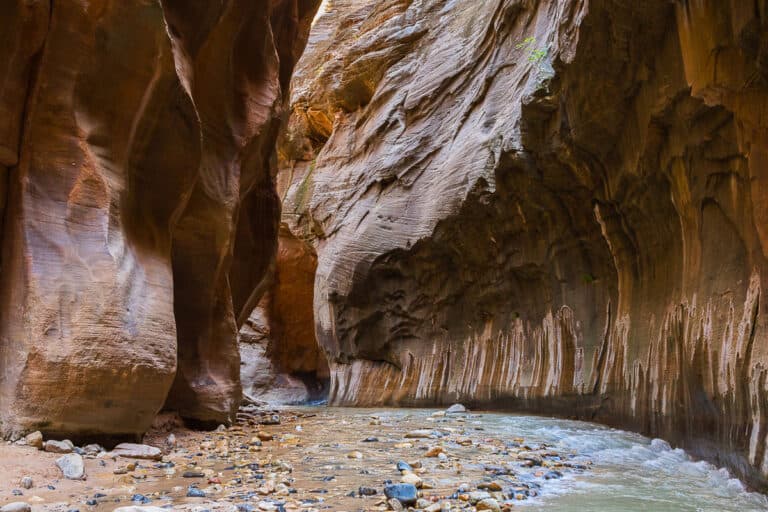 Narrows Hike Canyon Walls