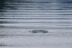 Water Splash Photography