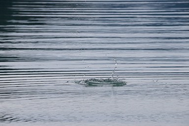 Rock Splash in Lake