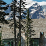 Mt Rainier Paradise