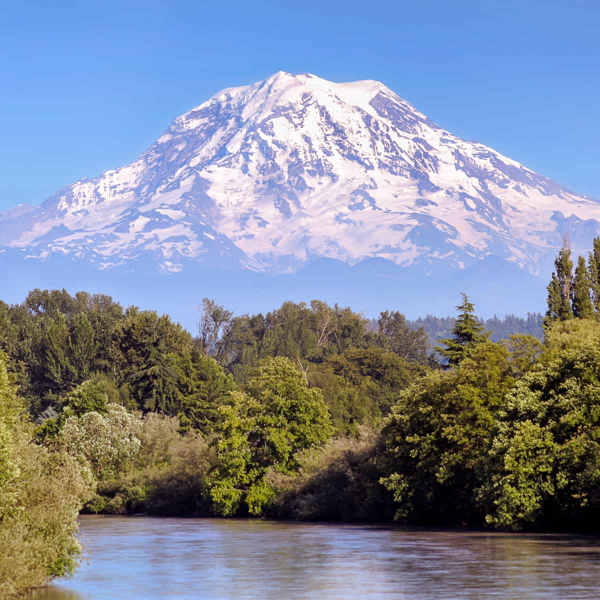 Mt Rainier View from Puyallup River (Photo)