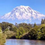 Mt. Rainier, Puyallup Photo