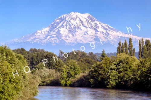 Mt Rainier View from Puyallup River (Photo)